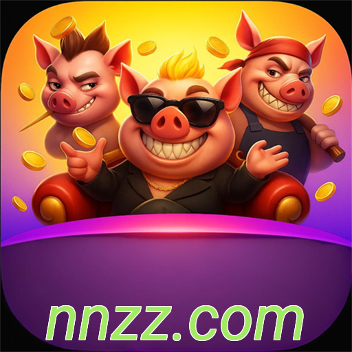 nnzz.com